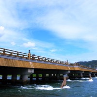 宇治川と宇治橋