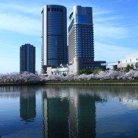 帝国ホテル大阪　第１３回　桜写真コンテスト　オリンパス賞