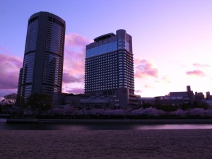 帝国ホテル大阪　桜写真コンテスト