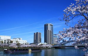 水都大阪の春